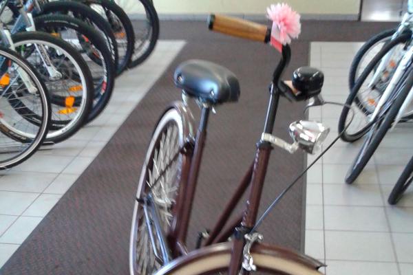 Alte Damenfahrrad pulverbeschichtet II
